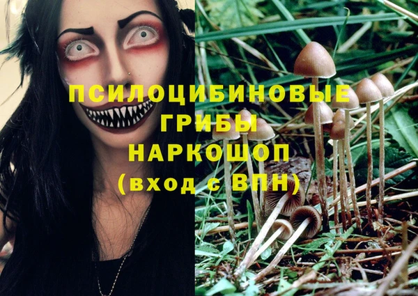 синтетический гашиш Приозерск